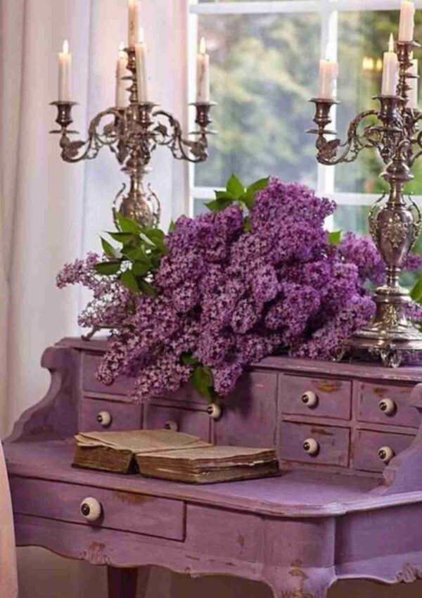 Lo stile provenzale al profumo di lavanda