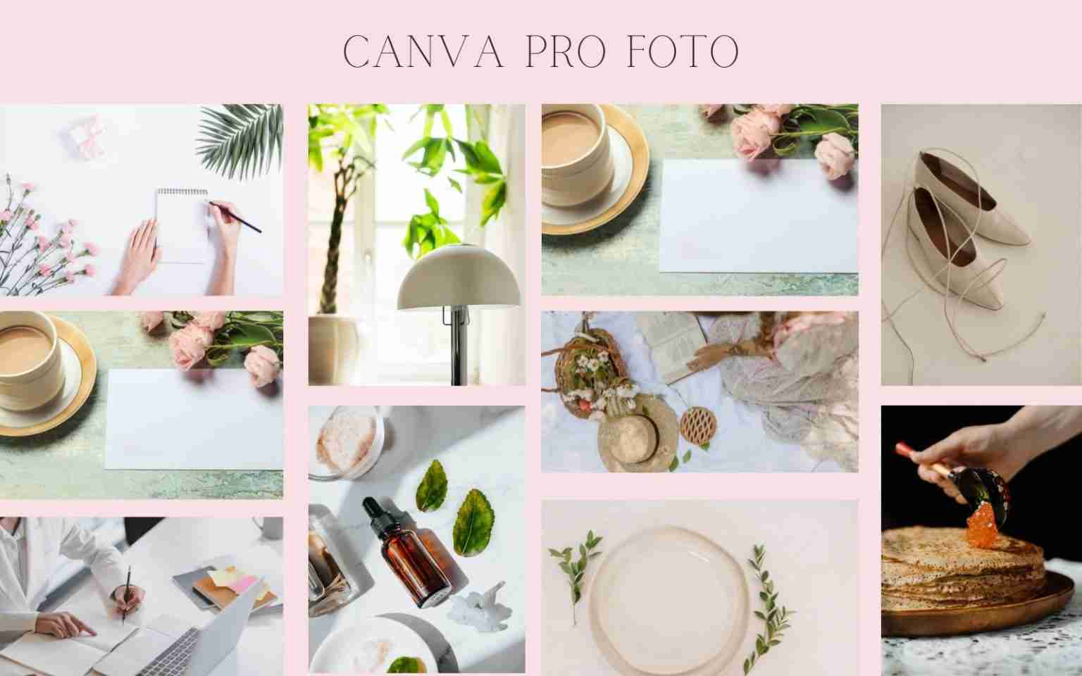 Canva Pro: Crea tutto ciò che vuoi