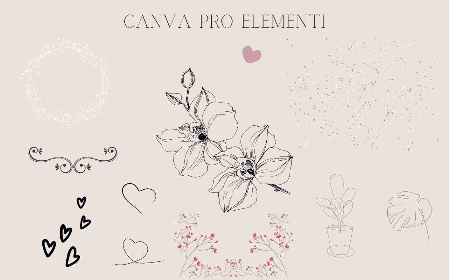 Canva Pro: Crea tutto ciò che vuoi