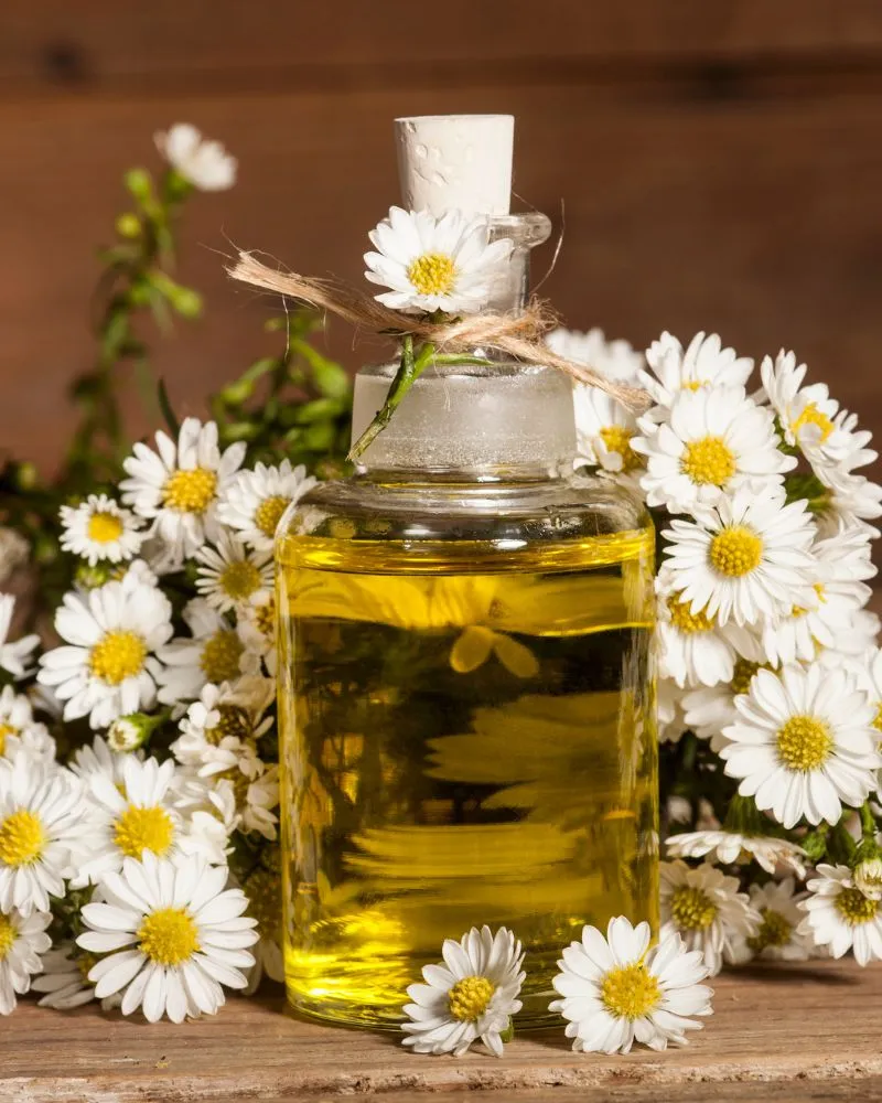 Tonico naturale e idratante fai da te