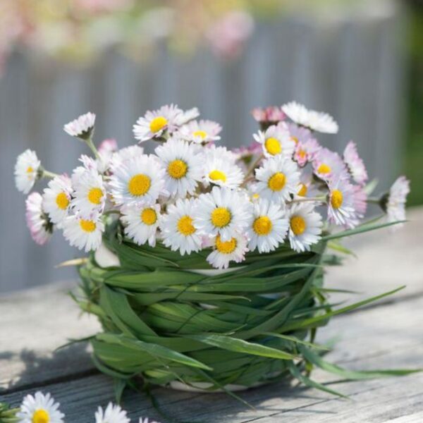 Come fotografare i fiori