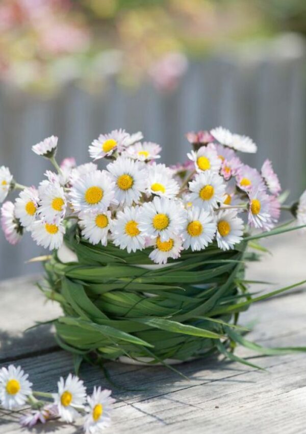 Come fotografare i fiori