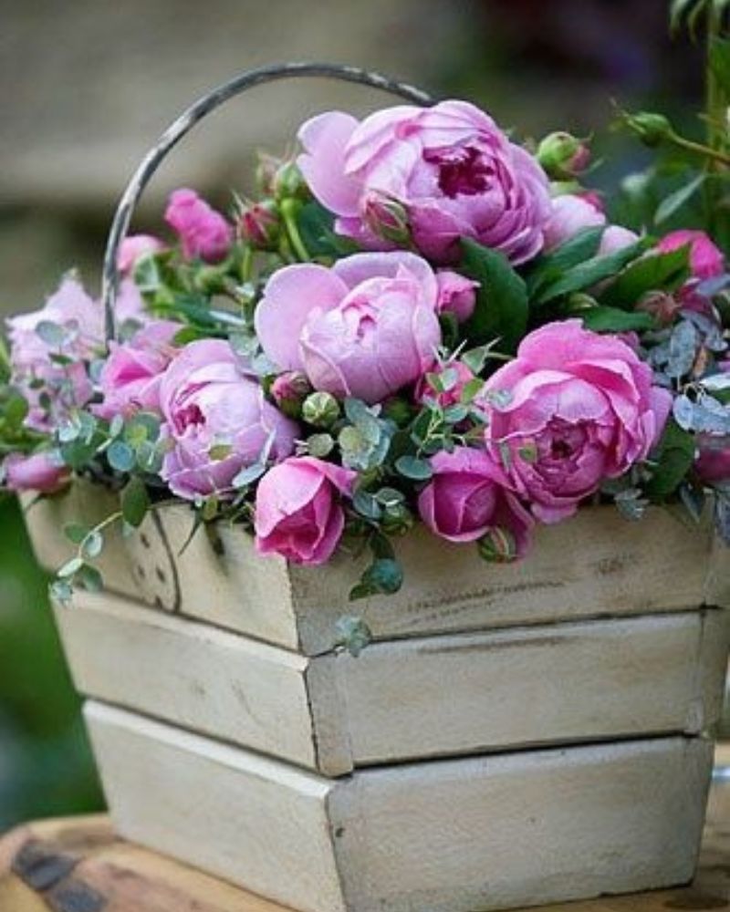Come fotografare i fiori