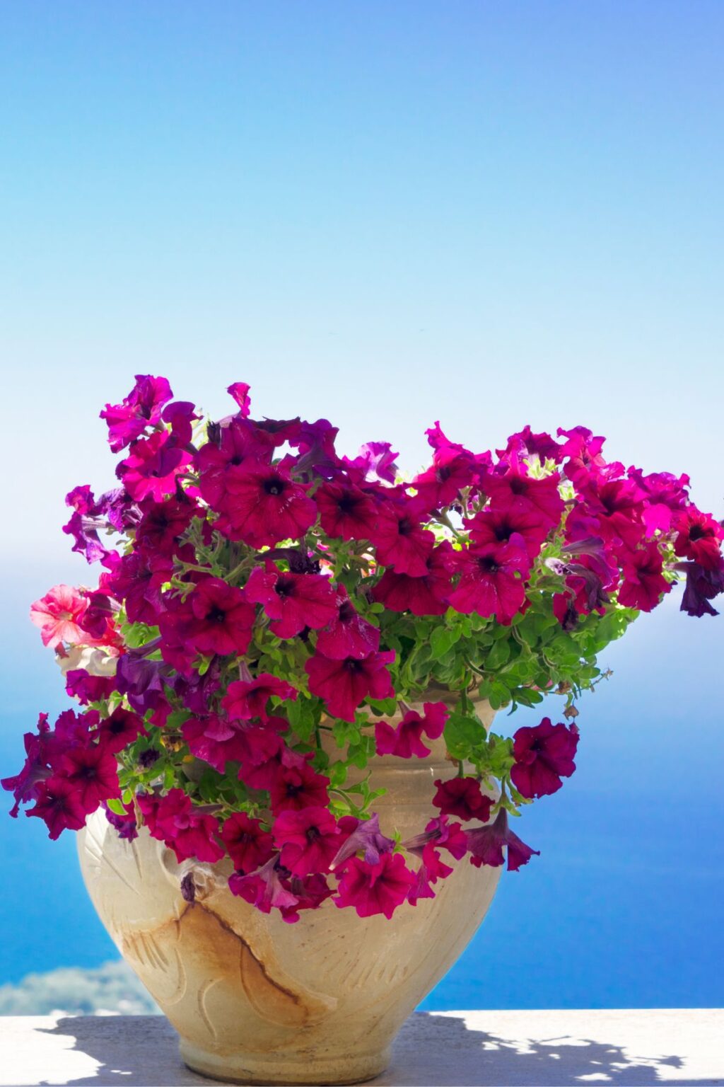 I segreti di Capri: Scopri tutto quello che c' è da sapere per una vacanza indimenticabile