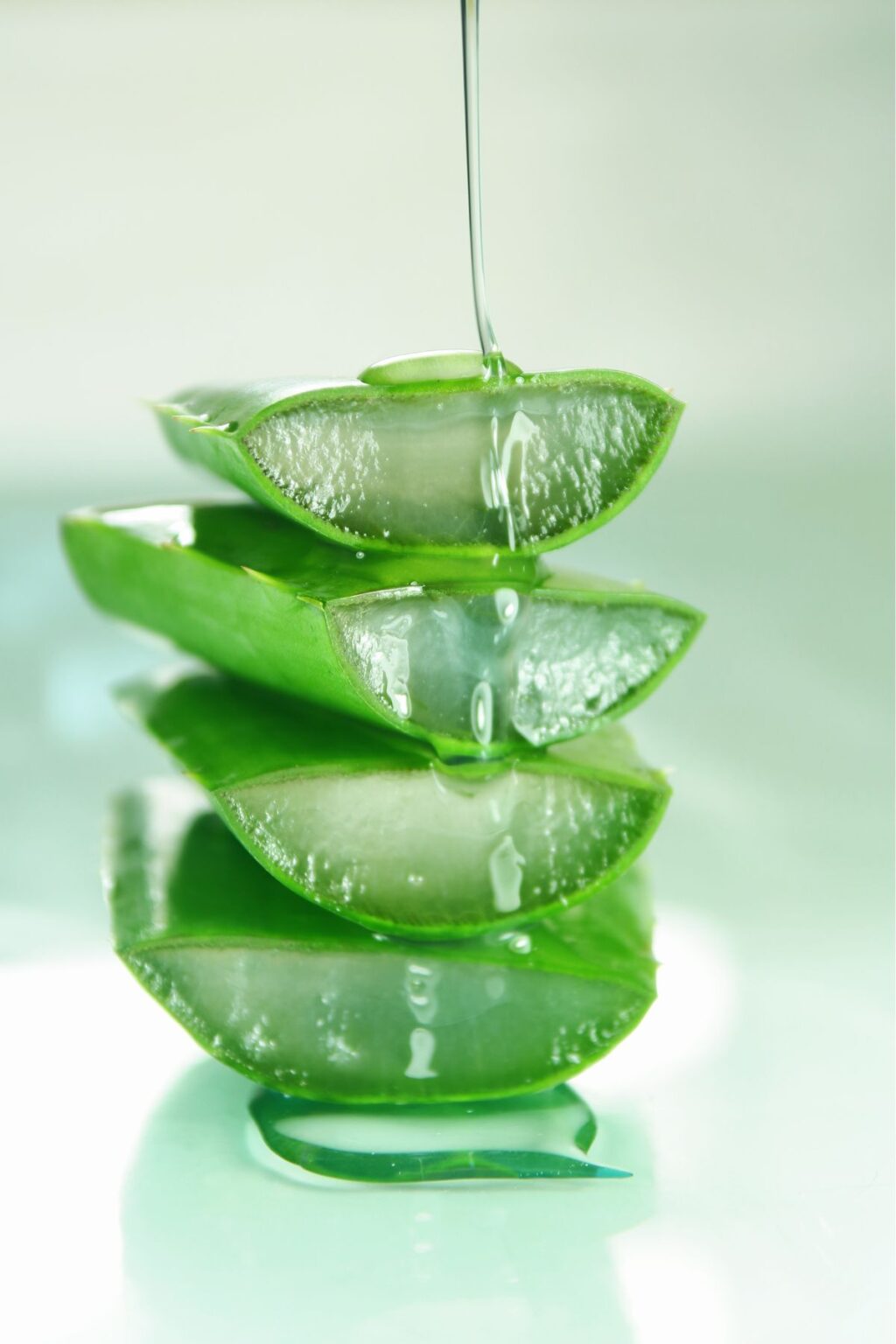 I benefici dell'Aloe Vera per la pelle: una panoramica generale