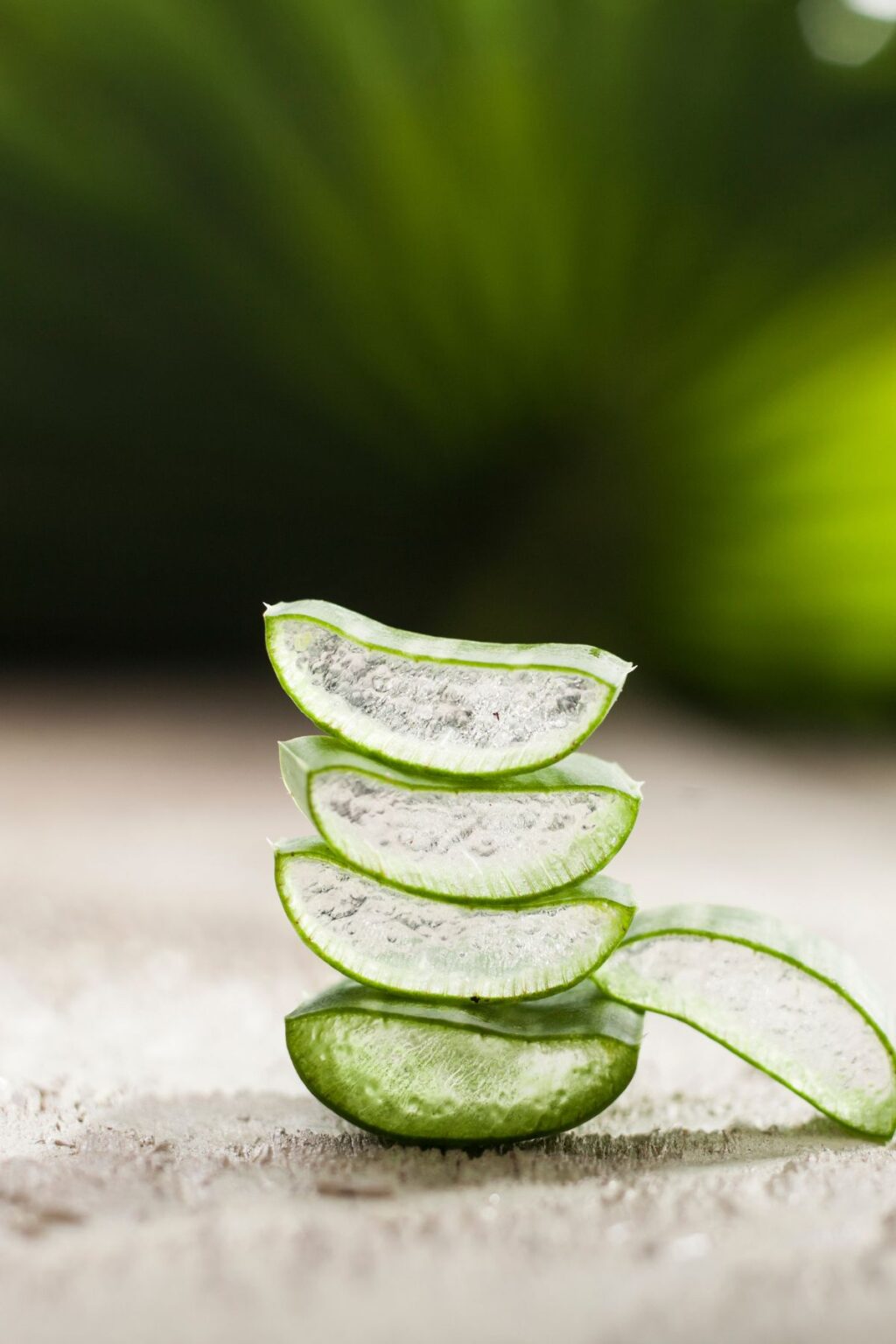 I benefici dell'Aloe Vera per la pelle: una panoramica generale
